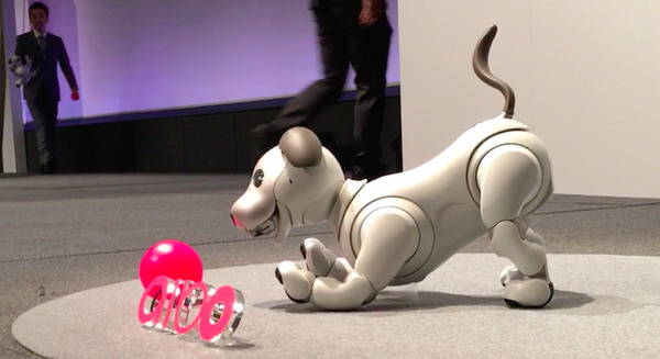 動画追加あり】ソニーの新型「aibo（アイボ）」が動く様子 | ロボスタ