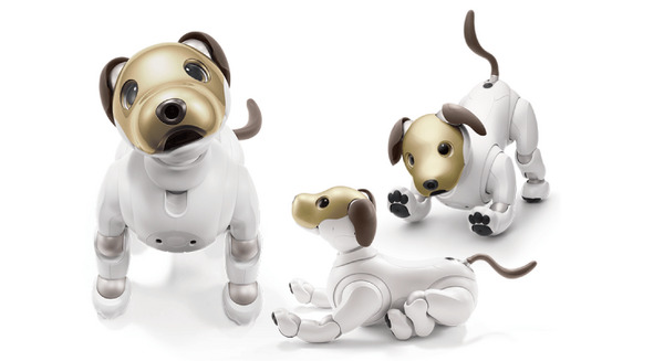 ソニー、顔が金色の限定「aibo（アイボ）」11台をチャリティー出品