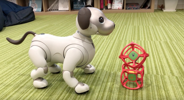 アイボとあそぶvol.6】aibo専用玩具「サイコロ」を使って遊んでみた