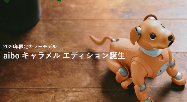 aiboに2020年限定カラーモデル「キャラメル」誕生 | ロボスタ