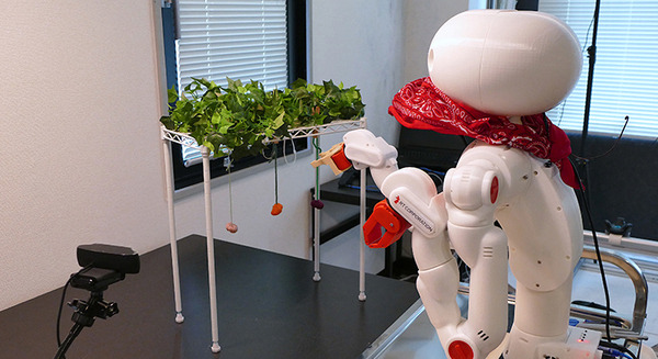 H2L、BodySharing技術を活用した「RaraaS」による遠隔農業ロボット