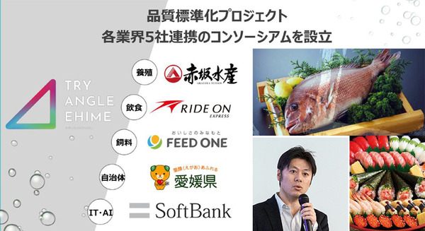 ソフトバンク、魚の鮮度やうまみをセンサーやAIで測定する手法確立へ