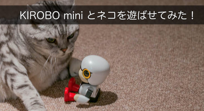 レビュー】トヨタのロボット「KIROBO mini(キロボミニ)」とネコを
