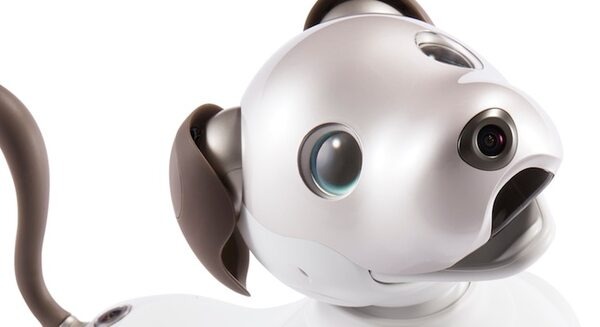 ソニーの「aibo」、月額1.1万円の分割支払いに対応 本体だけでなく関連
