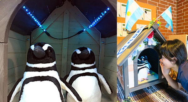 羽をパタパタ、須磨水族園のペンギン型AI解説ロボットが夏休みに帰っ