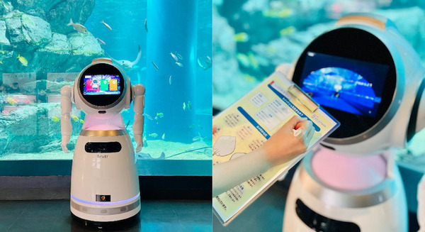 癒やし系ロボット　ifish【アイフィッシュ】　セガトイズ 気になるe-Toy遊んでレポート