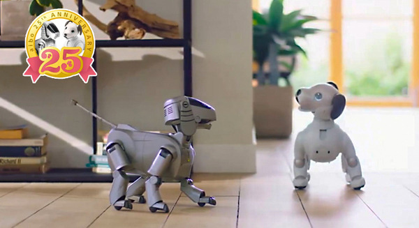 ソニーがaiboのショートストーリー特別動画を5月31日に公開へ 「AIBO