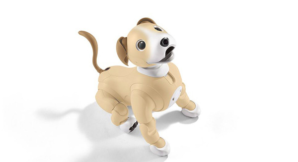 新色 aibo 首輪 ターコイズ 2025 新色 aibo 首輪 ターコイズ 2025 aibo首輪とバッチ(非売品)