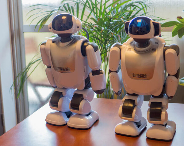 総力特集】「PALRO」と「Palmi」兄弟ロボット徹底比較！ その1 ～開封