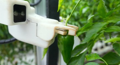 AGRIST、Microsoftとの連携でフィジカルAI×農業の先進事例に AI収穫ロボットで世界の食料課題へ挑む 画像