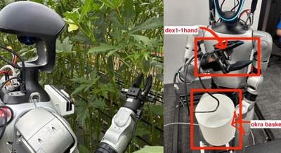 ヒューマノイドUnitree G1を実際のオクラ農場へ Orbohとトヨタ車体研究所の共同実証 画像