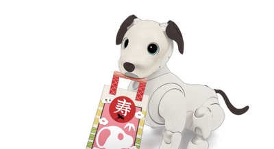 ソニー「アイボの七五三」を東京・愛知で11月に開催 aibo発売7周年の節目を祝う 画像