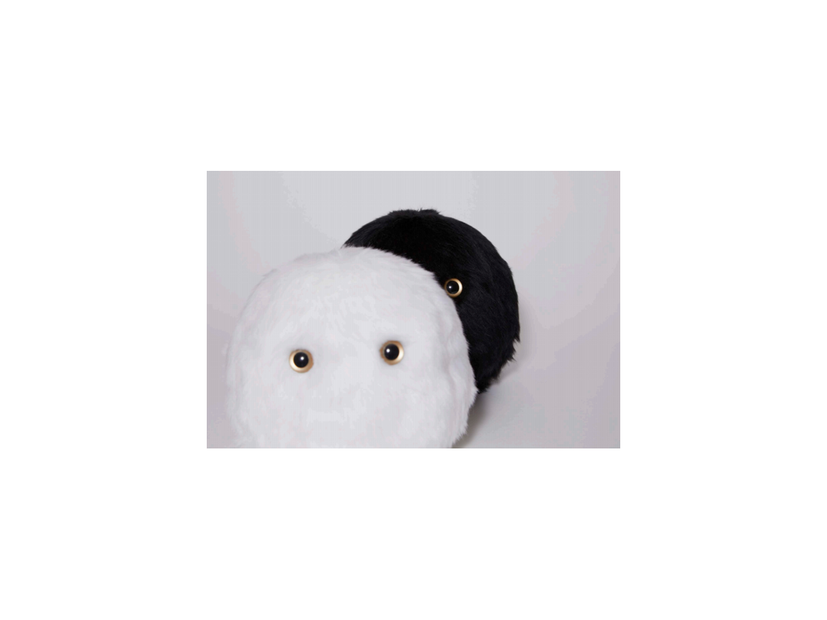 睡眠サポートロボット「ネモフ」を3/18睡眠の日に追加販売、白・黒に加えて新色のマーブル2色が追加