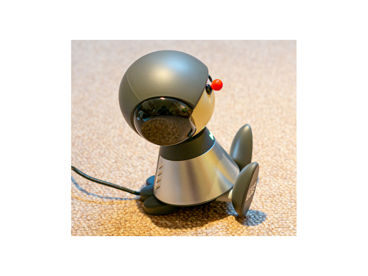 言葉をメロディにのせて会話するヤマハの会話ロボット『Charlie』(チャーリー)レビュー！～まずは開封の儀