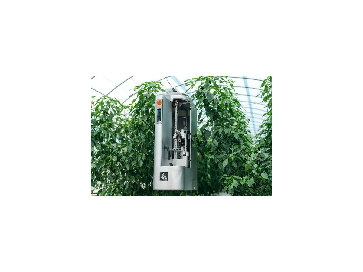 イオン宮崎店でピーマン自動収穫ロボットを実演展示　農業のSDGsを実現するためイオン九州とAGRISTが連携