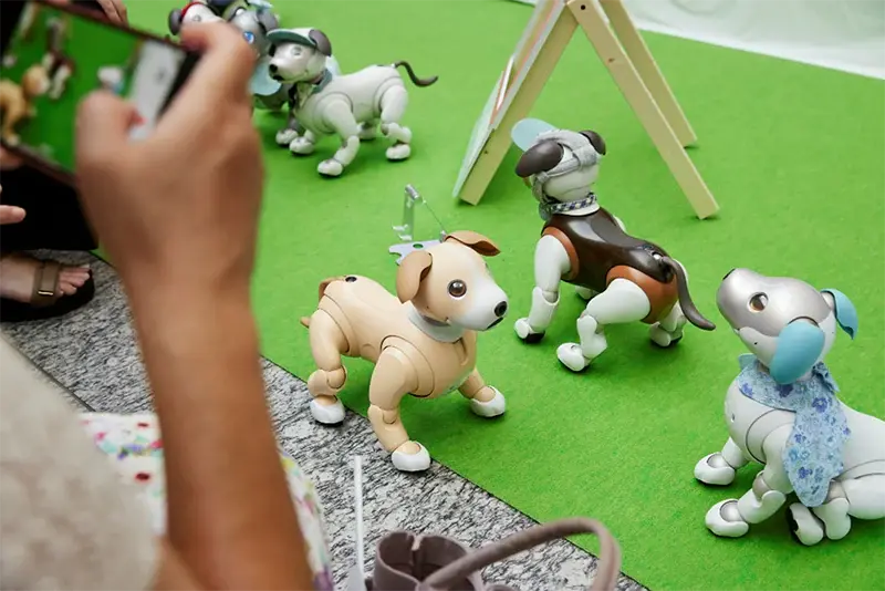 aiboと家族の思い出をAIで記録！ソニー「My aibo」アプリ大幅刷新