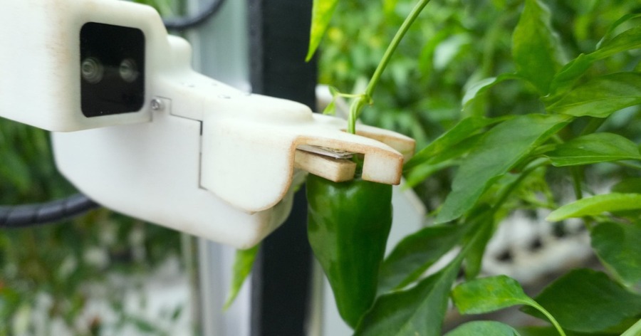 AGRIST、Microsoftとの連携でフィジカルAI×農業の先進事例に AI収穫ロボットで世界の食料課題へ挑む