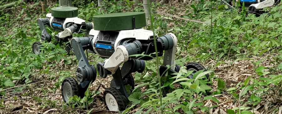 DEEPRobotics製小型四足歩行ロボット「Lynx S10」の国内独占販売権をエルザジャパンが取得