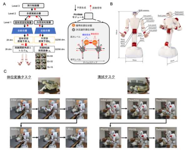 脳の「予測する仕組み」でヒューマノイドが複数の介護動作を学習　早大・NCNP、フィジカルAIの基本原理となる可能性を示す