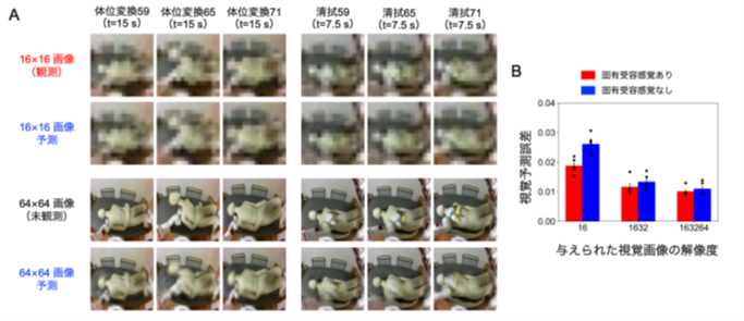 脳の「予測する仕組み」でヒューマノイドが複数の介護動作を学習　早大・NCNP、フィジカルAIの基本原理となる可能性を示す