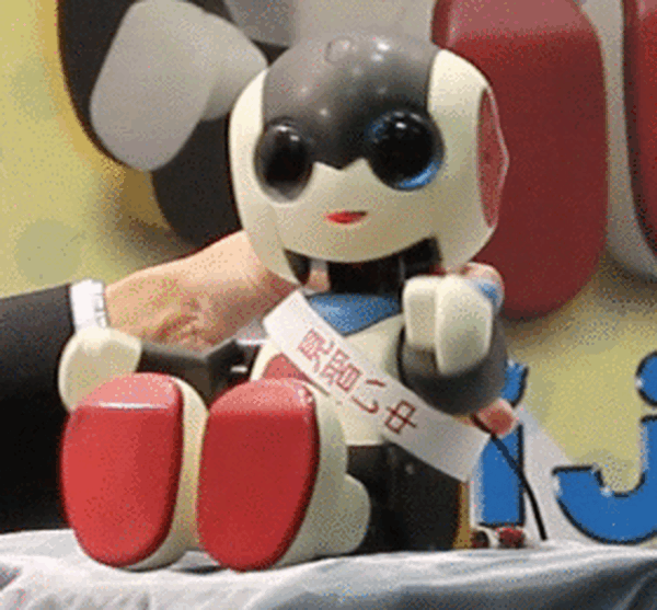 【JAPAN ROBOT WEEK 2014】ロビジュニアが初お披露目。