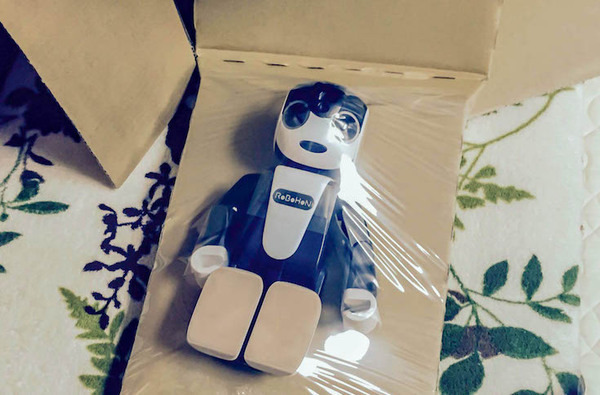 robohon06