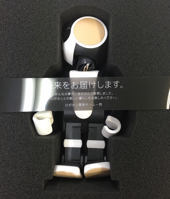 robohon01