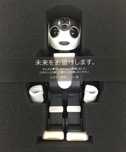 robohon05