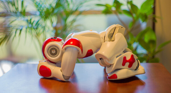 <p>シェア 0 ツイート 0 はてブ 0</p>