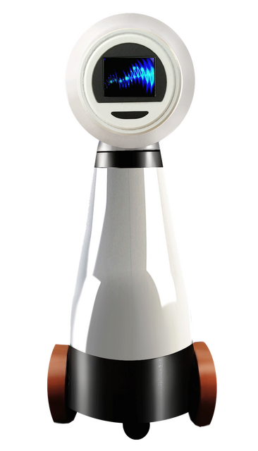 NIXIE