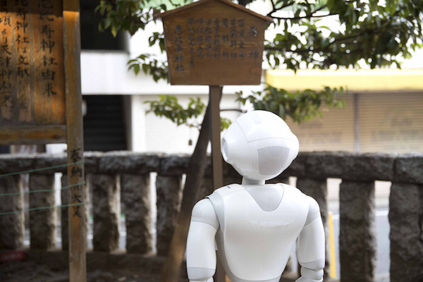 変わらない文化×変わっていく文化