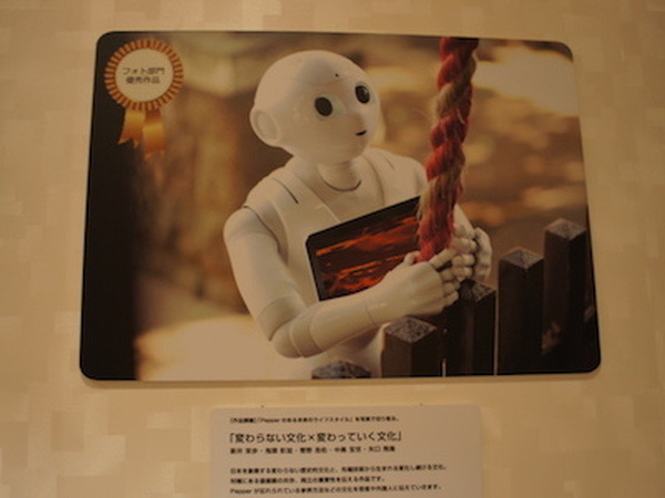 <p>SONY DSC</p>