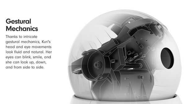 kuri03
