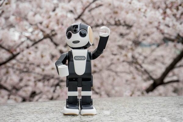 【フォトレポート】RoBoHoNと一緒にお花見に行ってきました