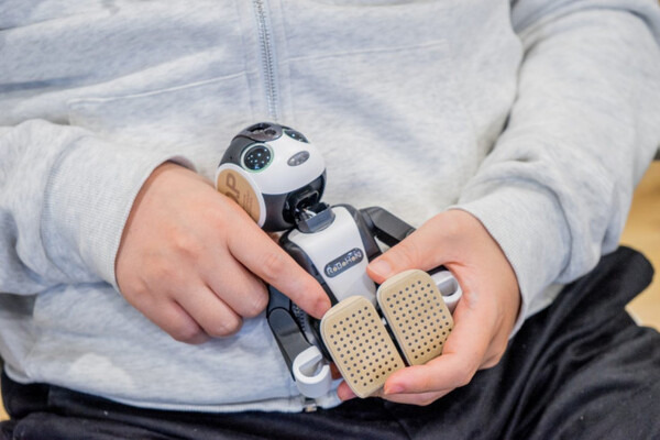 【RoBoHoN】ロボホンの首が折れちゃったので、修理に出してみる＋バックアップを勝手に取ってみる（前編）