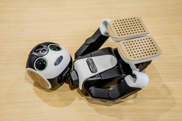 【RoBoHoN】ロボホンの首が折れちゃったので、修理に出してみる＋バックアップを勝手に取ってみる（前編）