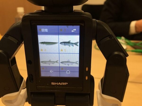 【RoBoHoN】ロボホンの首が折れちゃったので、修理に出してみた＋バックアップを勝手に復元してみた（後編）