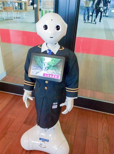 Pepperレンタル実績は150超、アプリ開発やイベント運用を提案する西尾レントオールに聞く