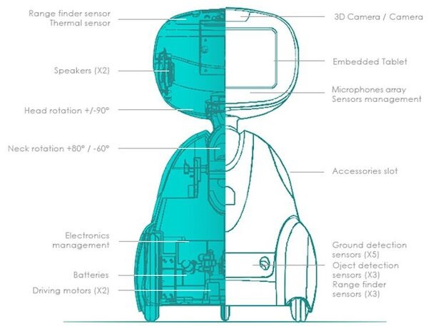 Blue Frog Roboticsのコミュニケーションロボット「Buddy」の開発状況は？