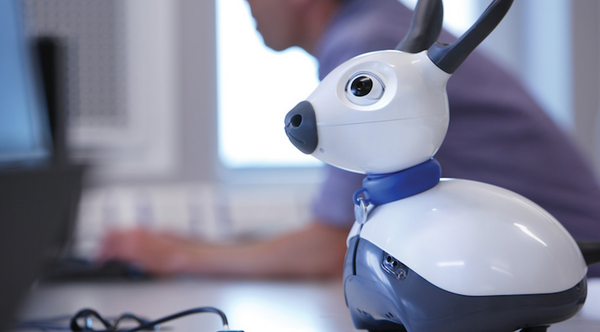 イギリスのバイオミメティックロボット「MiRo（ミロ）」を見ろ！