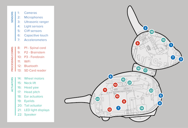 イギリスのバイオミメティックロボット「MiRo（ミロ）」を見ろ！