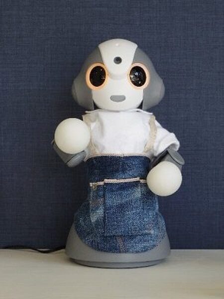 【かわいい】「Kibiro(キビロ)」がデニム衣装でお出迎え！ジャパンブルー新社屋受付のコンシェルジュに抜擢