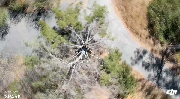 【速報】DJIが本格小型ドローン「SPARK」を発表！手のひらサイズ、スタビライザー搭載、価格は65,800円！