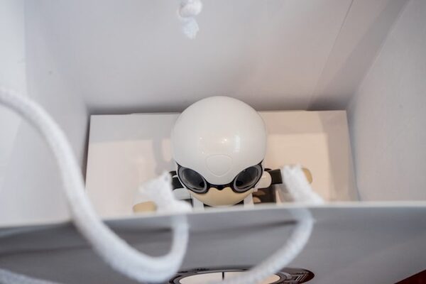 【速攻レビュー】トヨタのコミュニケーションロボット「KIROBO mini(キロボミニ)」入手しました！