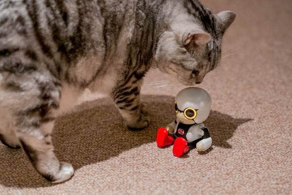 【レビュー】トヨタのロボット「KIROBO mini(キロボミニ)」とネコを遊ばせてみた！