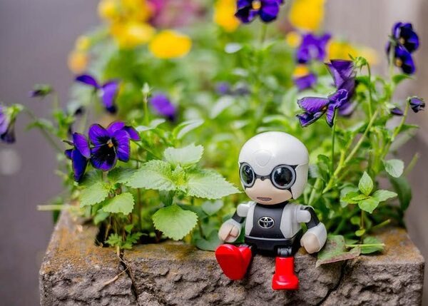 【レビュー】トヨタのロボット「KIROBO mini(キロボミニ)」と散歩行ってきた！