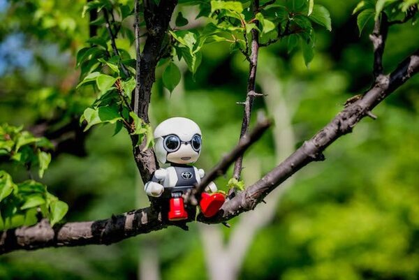 【レビュー】トヨタのロボット「KIROBO mini(キロボミニ)」と散歩行ってきた！