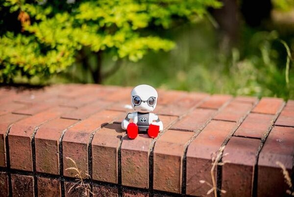【レビュー】トヨタのロボット「KIROBO mini(キロボミニ)」と散歩行ってきた！