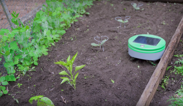 制作は「ルンバ」の開発者、「スパッ！」と気持ちよく雑草を刈るロボットがKickstarterで大幅達成