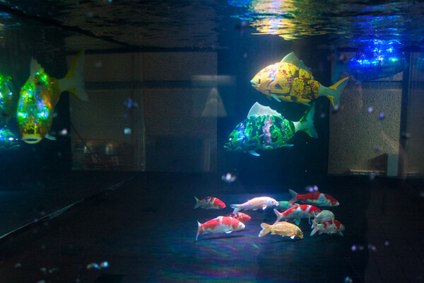 須磨水族園の体験型VR / 全天球360映像 / フィッシュロボットの事前体験会レポート！360水中体験映像は全編YouTubeで公開